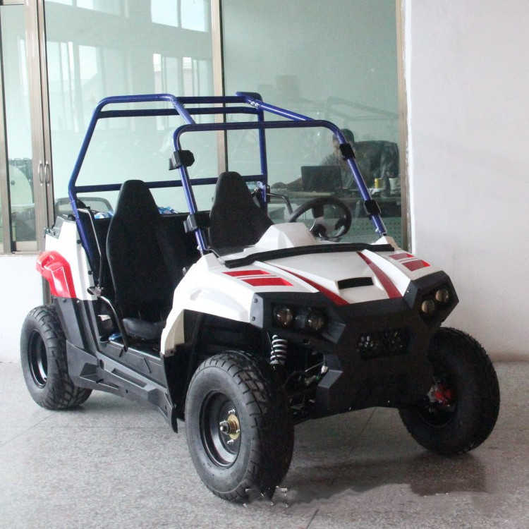 4x4 4x2 1000w 2wd Or 4wd Buggy For Sand 400cc Fast Atv 4000w 800cc 4*4 Farm X 5000w Electric Utv 4