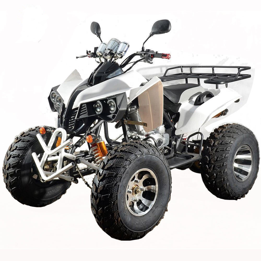 2024 New Design Aero 3S T-Rex Adult Atv 6 Wheel With Dump Bed Utv Truck