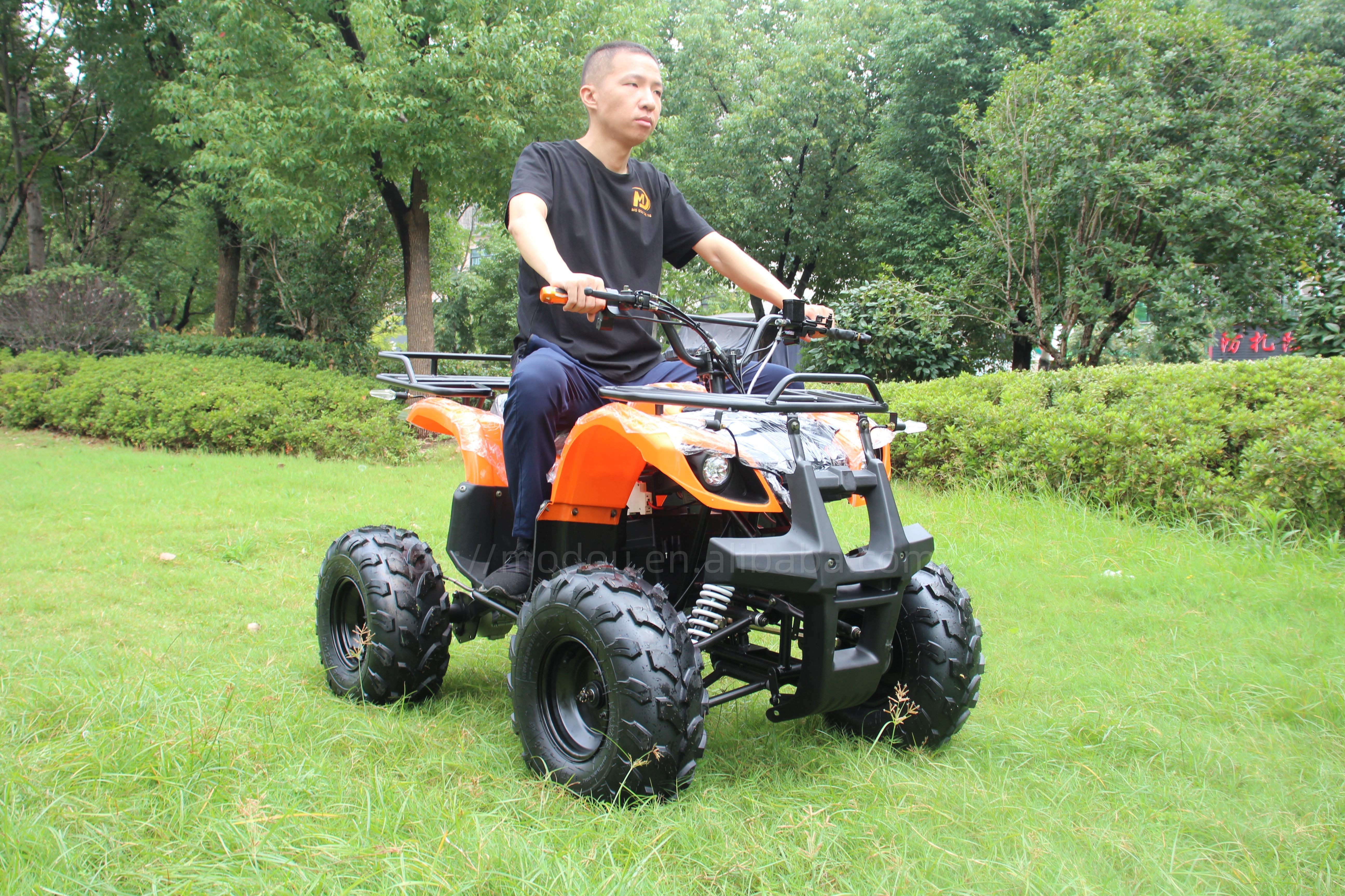 Offroad Beach Desert 2WD 125cc Adult All-Terrain Vehicle UTV ATV