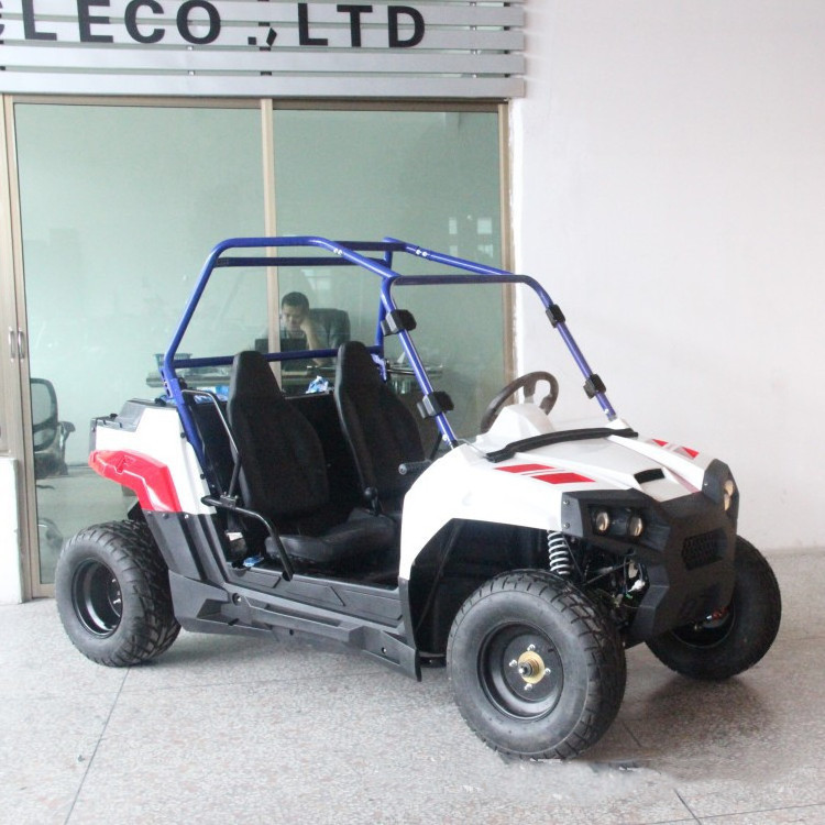 4x4 4x2 1000w 2wd Or 4wd Buggy For Sand 400cc Fast Atv 4000w 800cc 4*4 Farm X 5000w Electric Utv 4