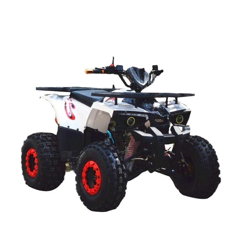 cheap 125cc 110CC adult gas powered 4 stroke mid atv quad 125cc quad ATV