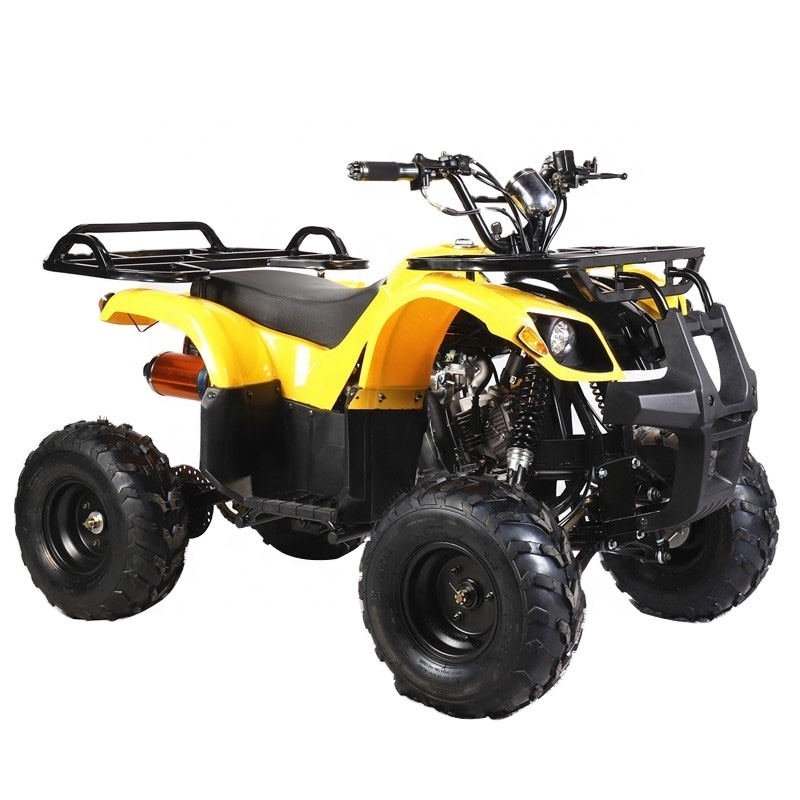 Offroad Beach Desert 2WD 125cc Adult All-Terrain Vehicle UTV ATV