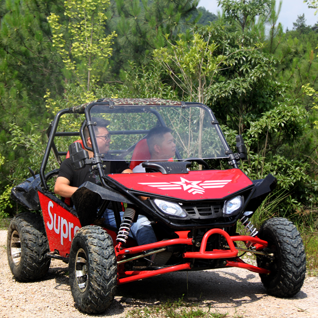 2023 4 wheels Off Road Dune Buggy 200CC Gasoline Racing Go Kart Cheap For Sale