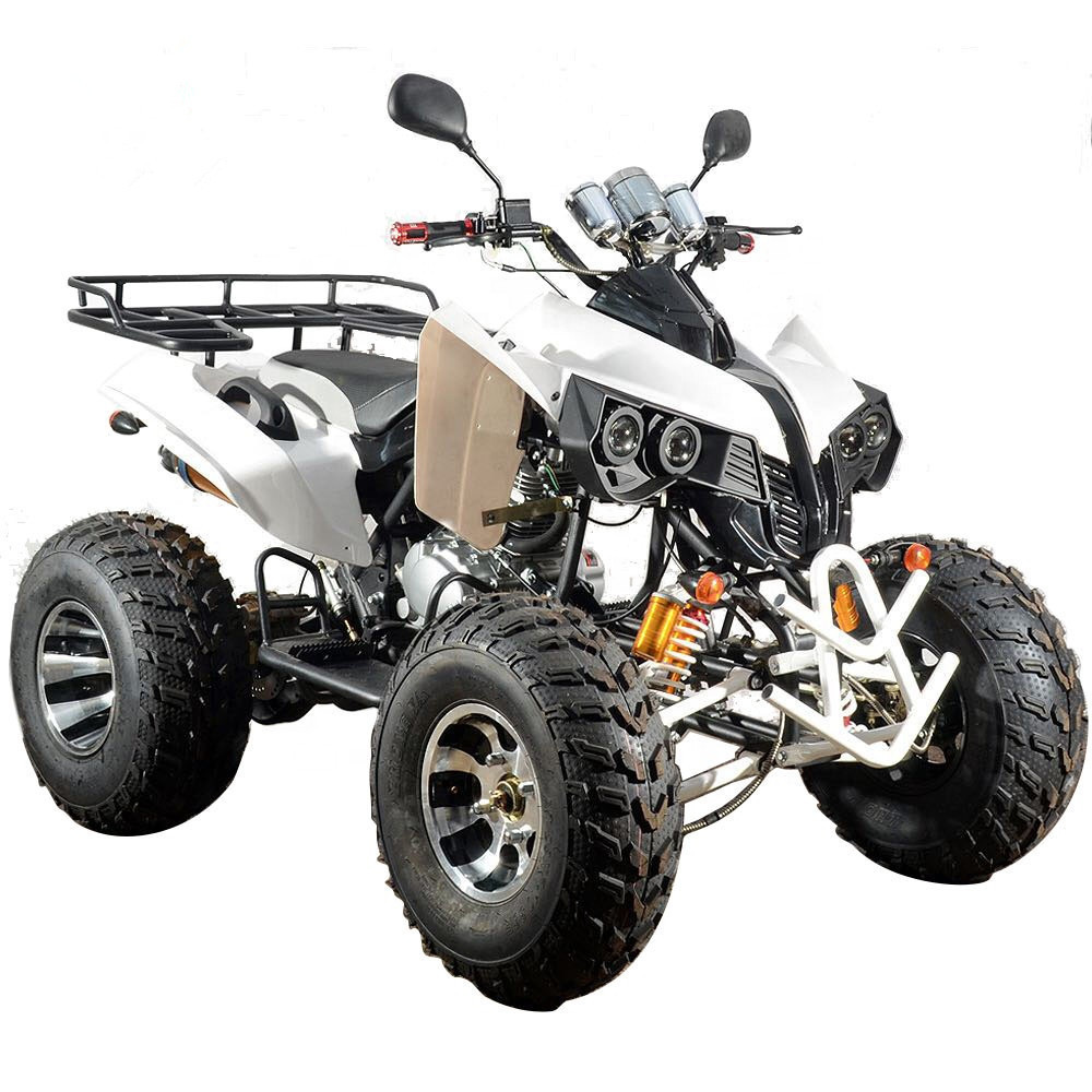 2024 New Design Aero 3S T-Rex Adult Atv 6 Wheel With Dump Bed Utv Truck