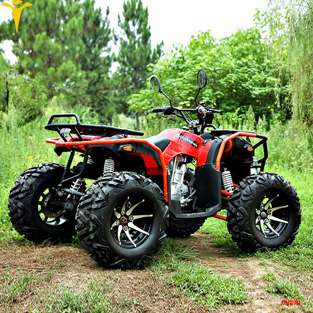 2023 4 wheeler atv new atv 300cc CVT racing motorcycles automatic transmission for adults