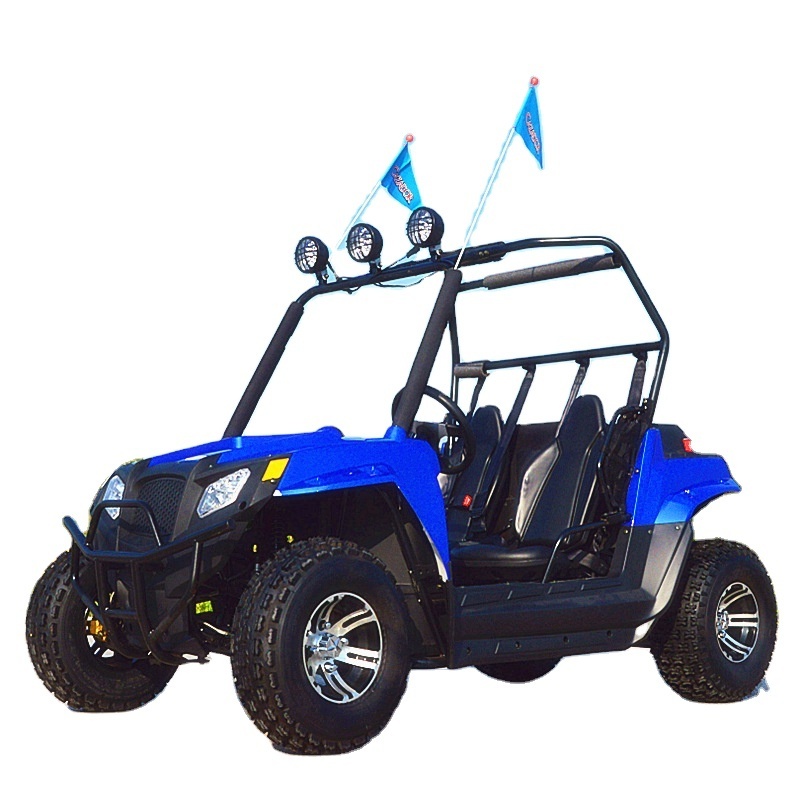 Offroad Cheap Go Kart Karting Atv Adult 200cc Off Road Dune Buggy Brands For Beach Utv 4x4 Automatic