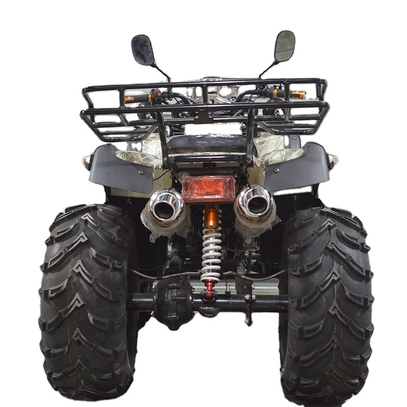 2023 150 Cc Utv 110cc Peace Sports 200cc Atv Engine Reverse Gear