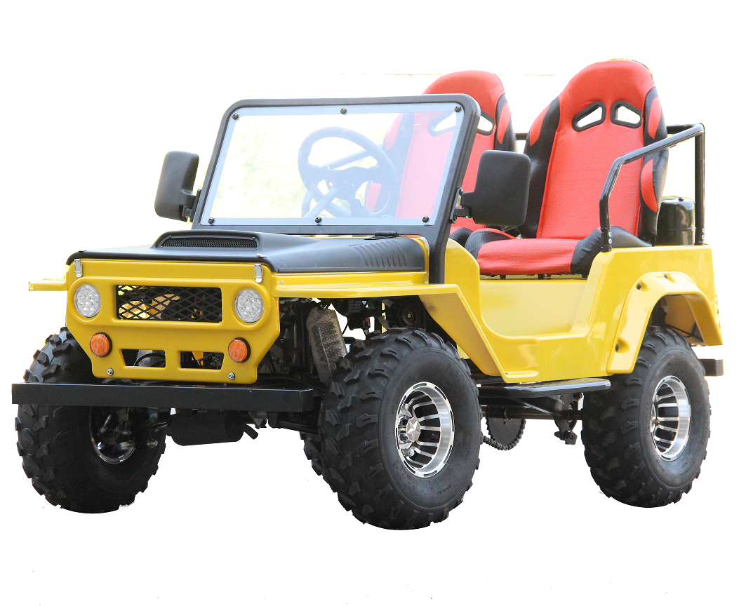 Newest design Cars Atv Utv By Sides Go Kart Gas Powered Dune Buggy For Kids Mini Willys Jeeps