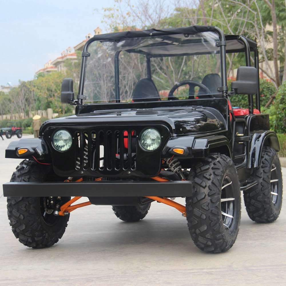 2024 side by side utv for sale(U-1)