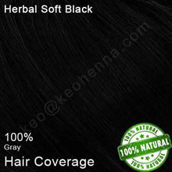 Natural Perfect Black Hair Dye Without Chemicals no chemical 100 gram pouch packing and bulk packing