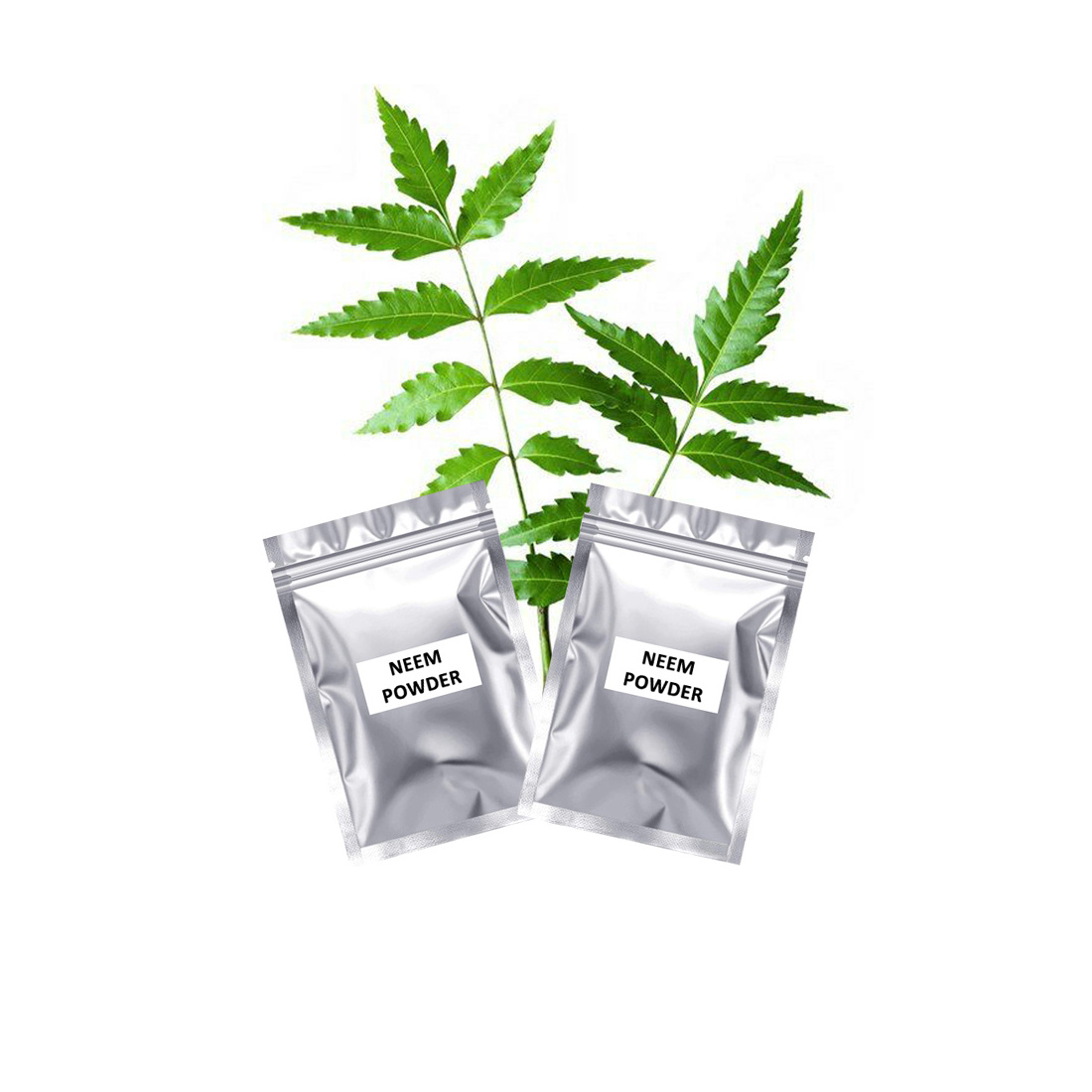 Manufacturer of Botanical Fresh High Quality Neem Powder Herbal Extract