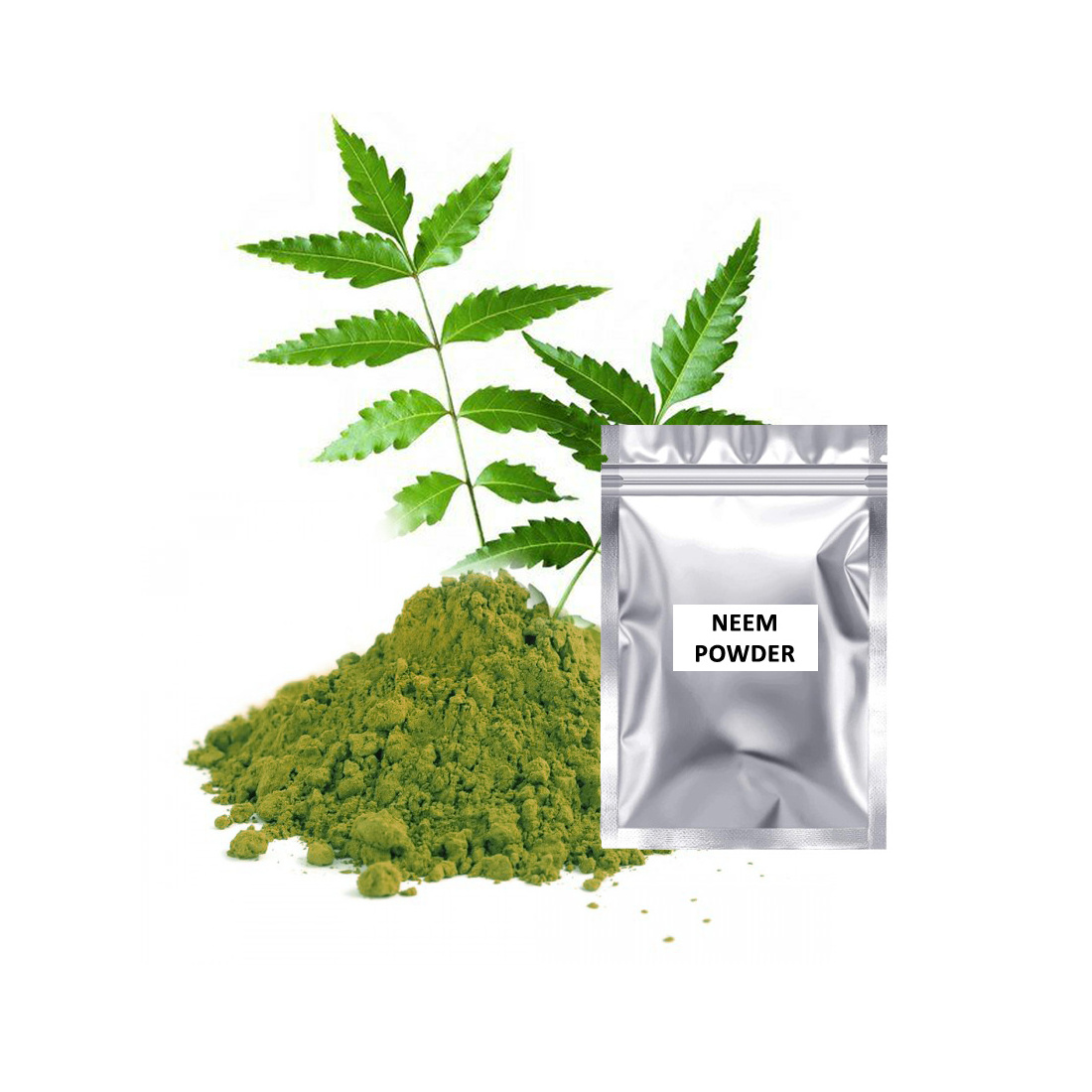 Manufacturer of Botanical Fresh High Quality Neem Powder Herbal Extract