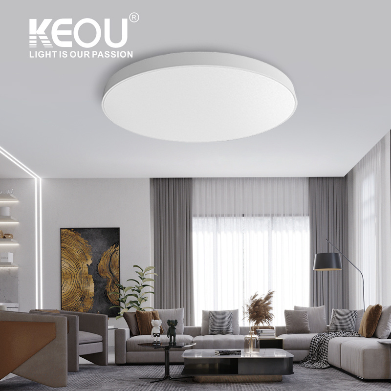 Keou Nordic Style Surface Mount Aluminum Light Ceiling Light For Clothing Store