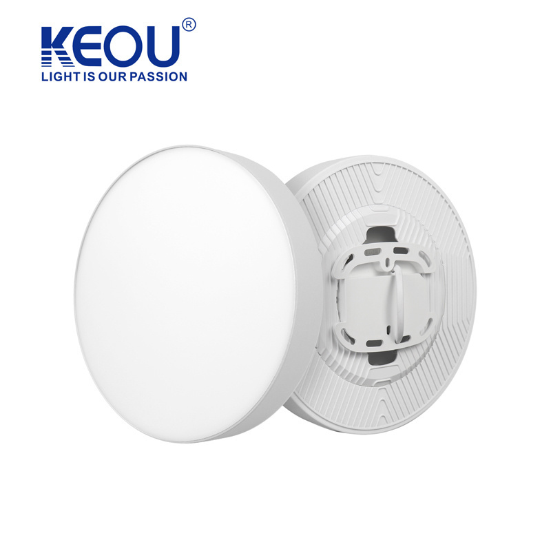 Keou Nordic Style Surface Mount Aluminum Light Ceiling Light For Clothing Store