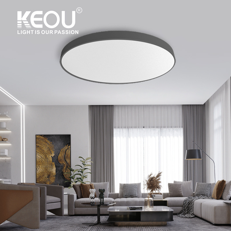 Keou Nordic Style Surface Mount Aluminum Light Ceiling Light For Clothing Store