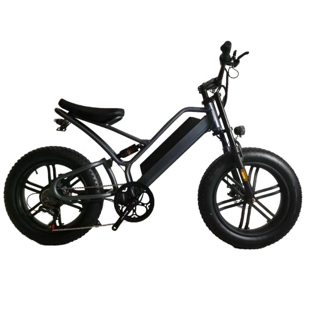 Wholesale 350w 48v Electric Elderly Mobility Scooter 2 Wheel Mutlifuction Electric Bike