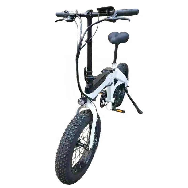 Customized Logo 250w 350w 500w 750w 1000w 48v 36v Powerful Battery Removable Fat Tire 20 Inch Electric Folding E Bike