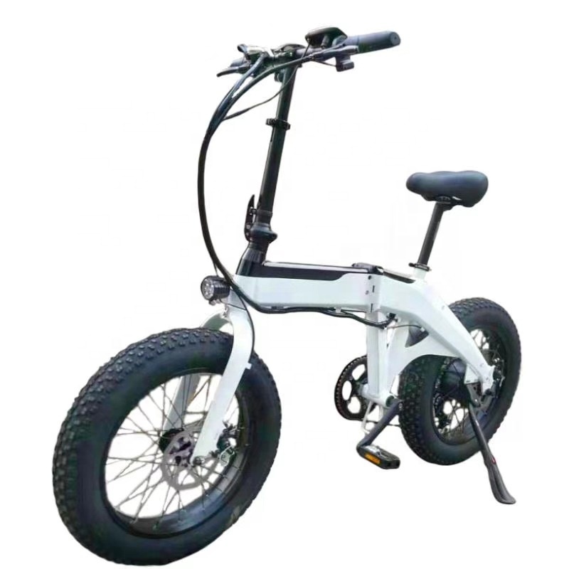 Customized Logo 250w 350w 500w 750w 1000w 48v 36v Powerful Battery Removable Fat Tire 20 Inch Electric Folding E Bike