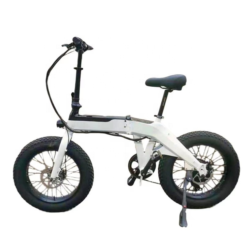 Customized Logo 250w 350w 500w 750w 1000w 48v 36v Powerful Battery Removable Fat Tire 20 Inch Electric Folding E Bike