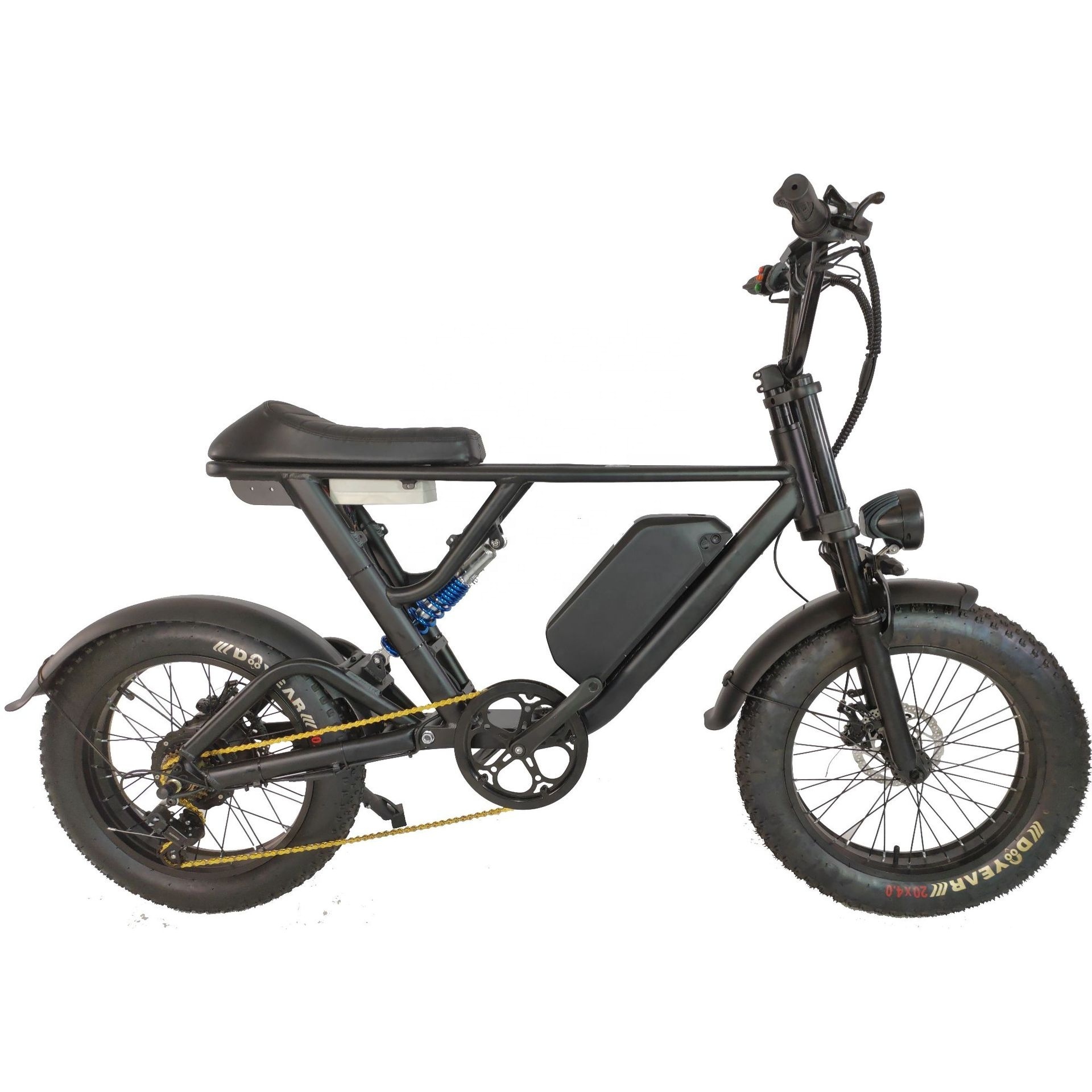 Factory Customize 350w 1000w Motor High Power E-bike Fat Tire 10.5ah 20ah Mountain Bike Fat Bike Electric Bicycle Bike