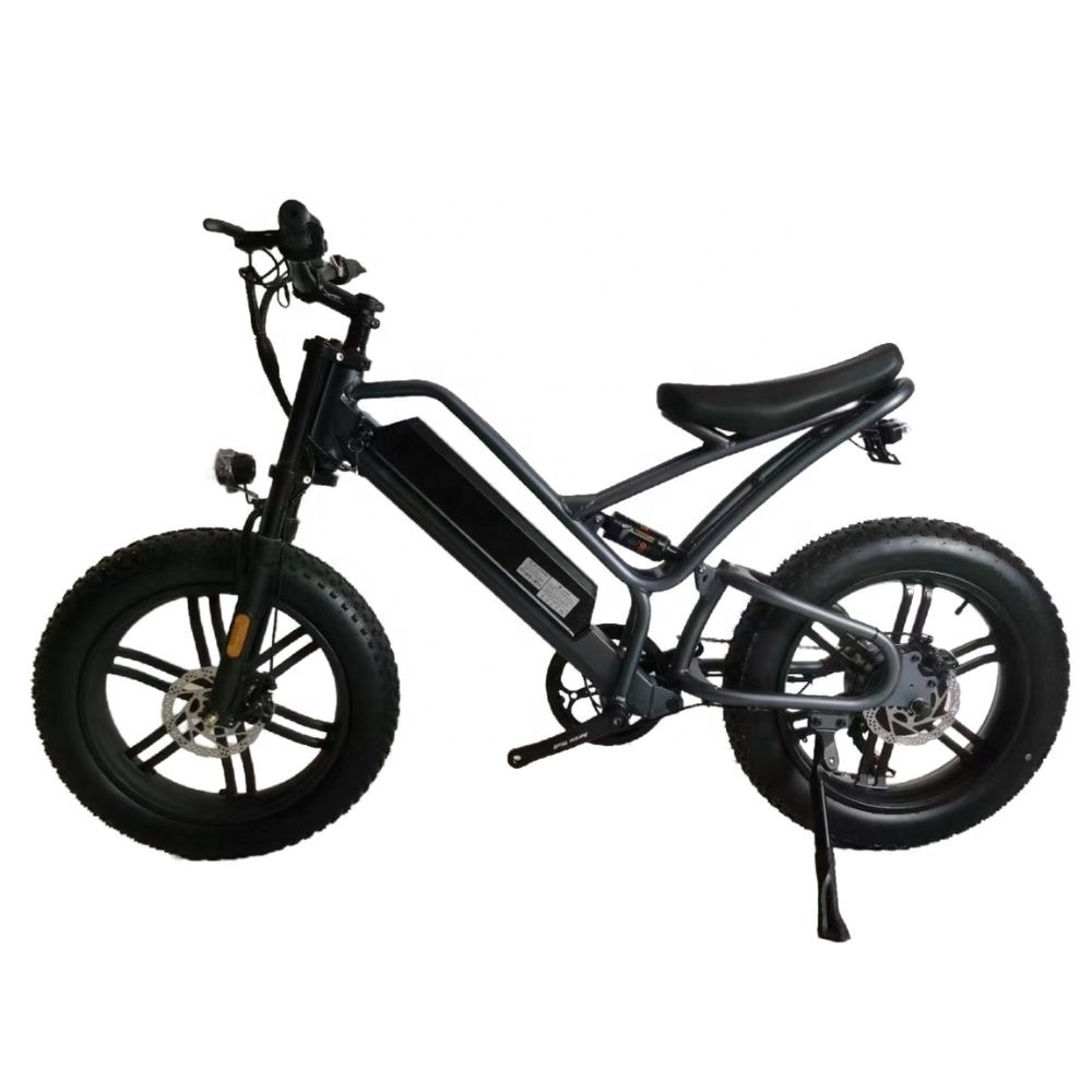 Wholesale 350w 48v Electric Elderly Mobility Scooter 2 Wheel Mutlifuction Electric Bike