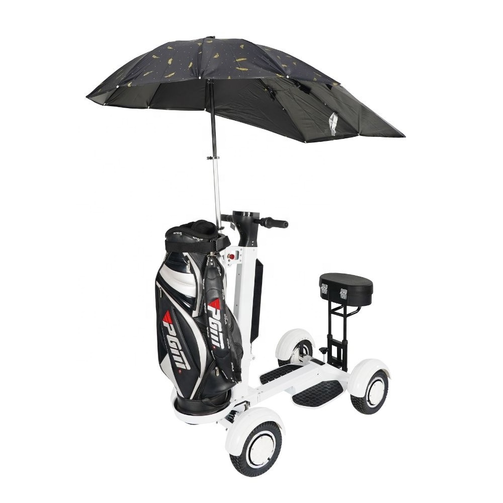 New Waterproof 48v 14ah 2000 Watt Four Wheel Electric Golf Board 10 Inch Big Tyre Golf Scooter