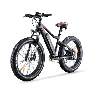 Elektrische fatbike hybrid pedelec electric fat tire e bike for sale