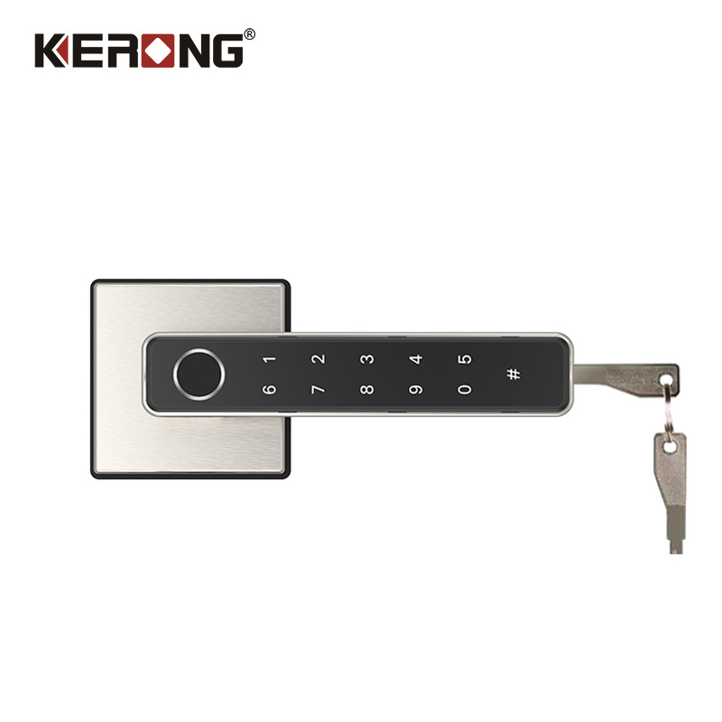 KERONG Zinc Alloy Low Voltage Anti-theft Reminder Digital Handle Door Keyless Smart Lock