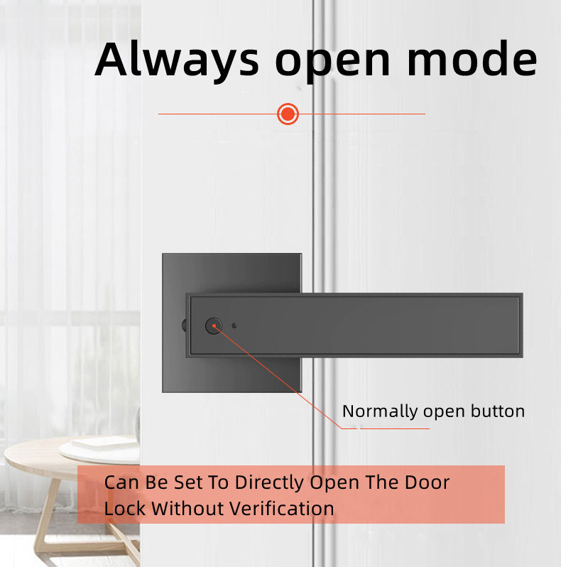 Electric Smart Security Biometric Fingerprint Door Lock Key Door Handle With Lock