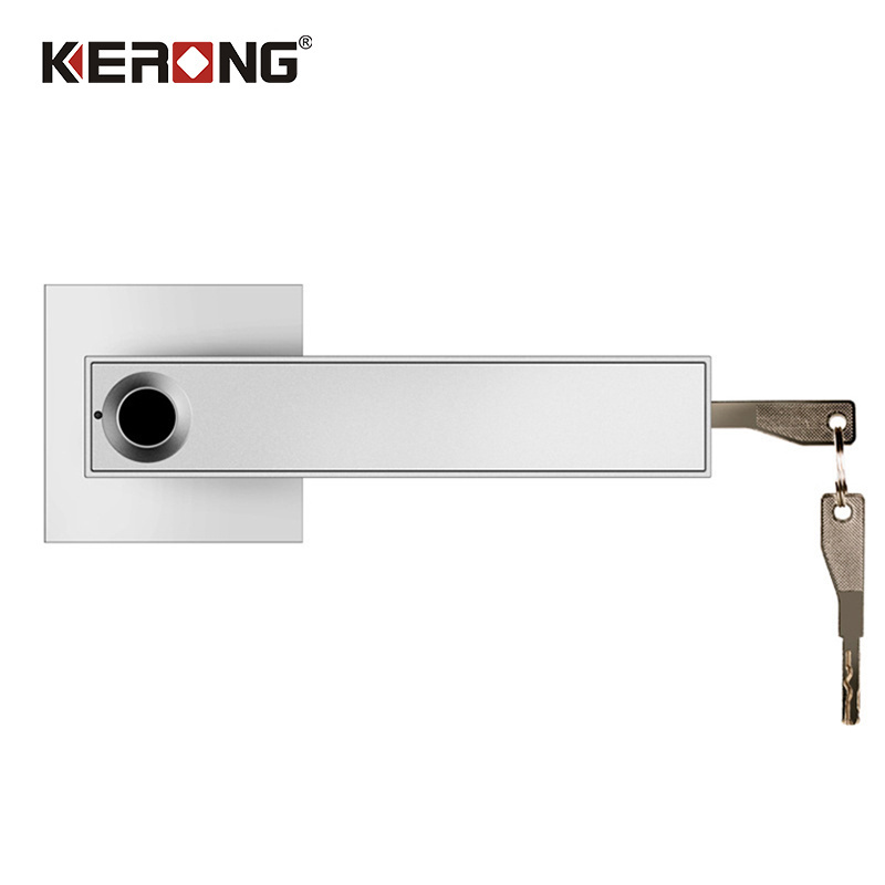 Electric Smart Security Biometric Fingerprint Door Lock Key Door Handle With Lock