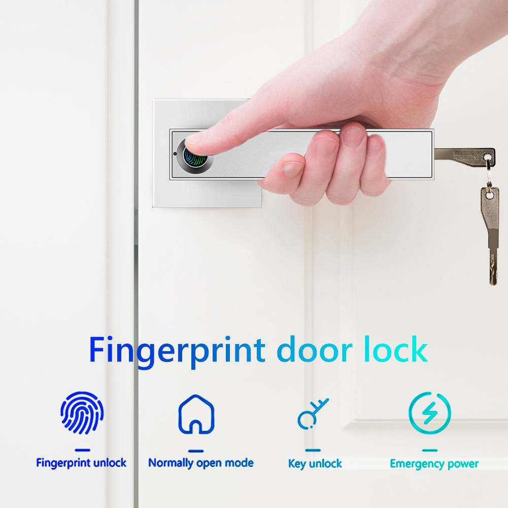 Electric Smart Security Biometric Fingerprint Door Lock Key Door Handle With Lock