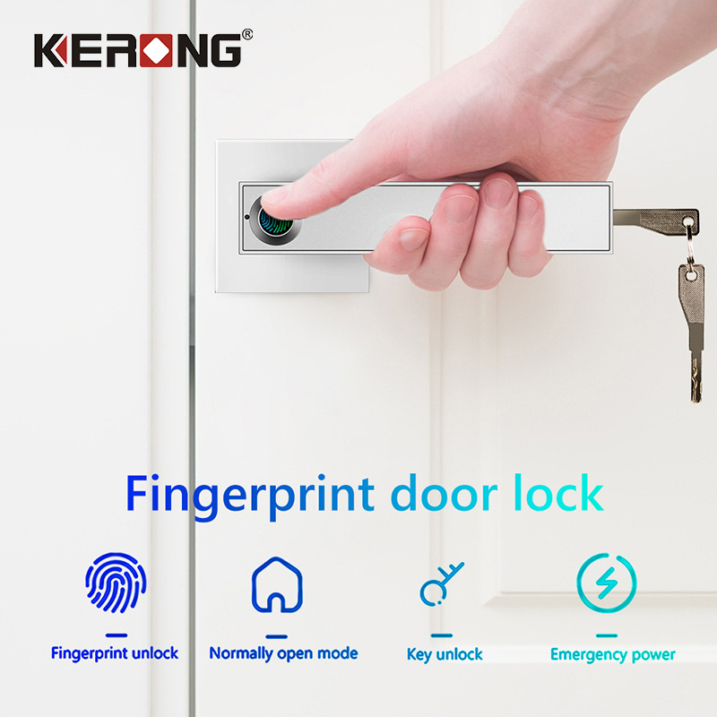 Electric Smart Security Biometric Fingerprint Door Lock Key Door Handle With Lock