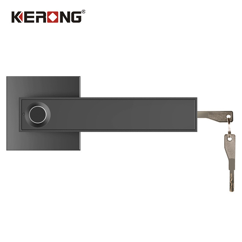 Electric Smart Security Biometric Fingerprint Door Lock Key Door Handle With Lock