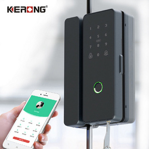 Security Fingerprint Glass Smart Home Door Lock Biometric Fingerprint Lock