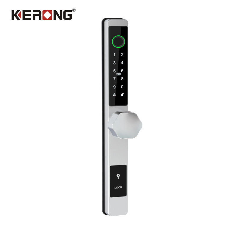 Aluminium Alloy TTlock WiFi App Smart Code IC Card Key Entry Hotel Door Handle Model Lock