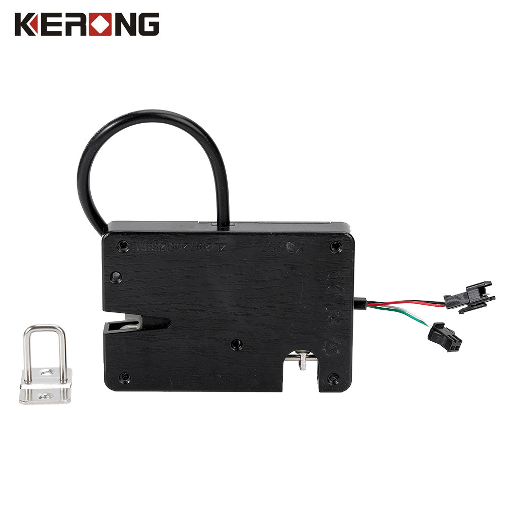 KERONG 12v 24v Hidden Waterproof Electronic Latch For Logistics Storage Cabinet