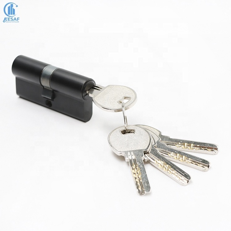 Anti-Theft Security Euro Master Key System Black Door Lever Handle Brass Mortise Door Lock Metal Cylinder Lock