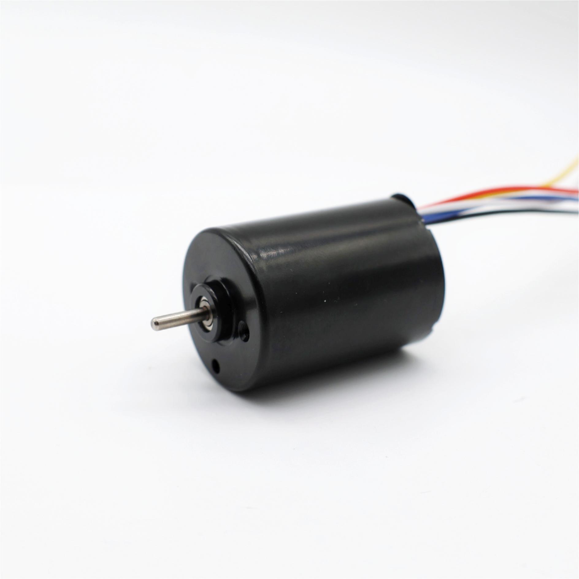 Small Size Brushless Motor 12v 24v High Torque 2838 Electric Micro Motors Built-in Driver BLDC Motor