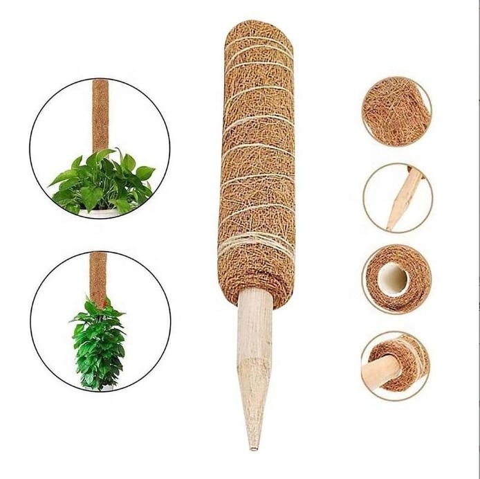 garden 30cm plants monstera support extension climbing indoor coco pole coir moss totem poles plant stick