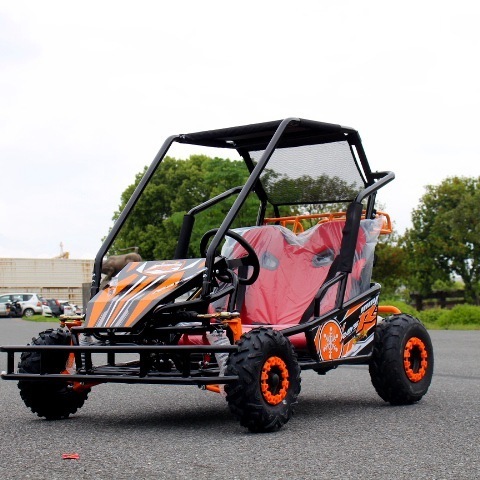 New 500W Adult two-seater Off Road 48V20AH Go Kart Beach Buggy for two-person