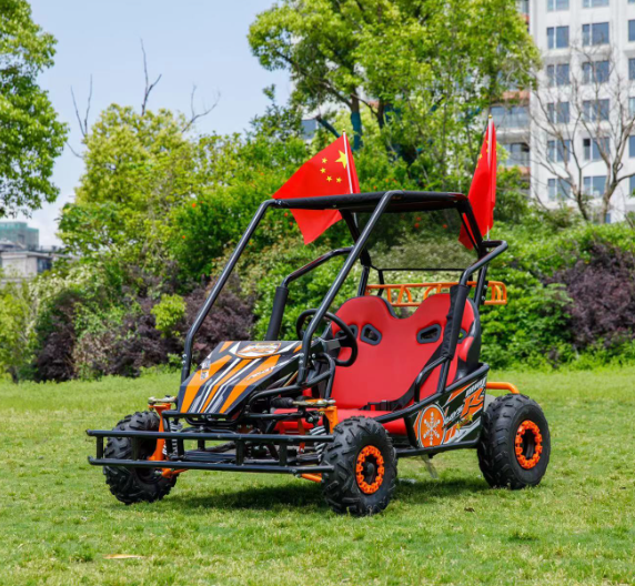 New 500W Adult two-seater Off Road 48V20AH Go Kart Beach Buggy for two-person