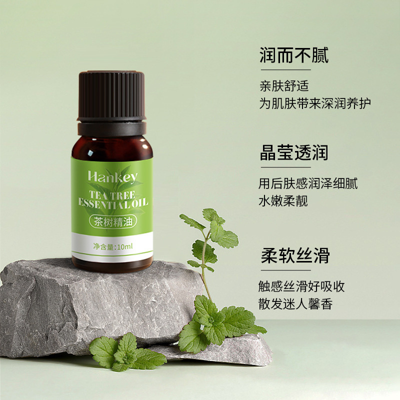 Rose wormwood essential oil beauty salon body gua sha massage essential oil bath ginger skin care product factory