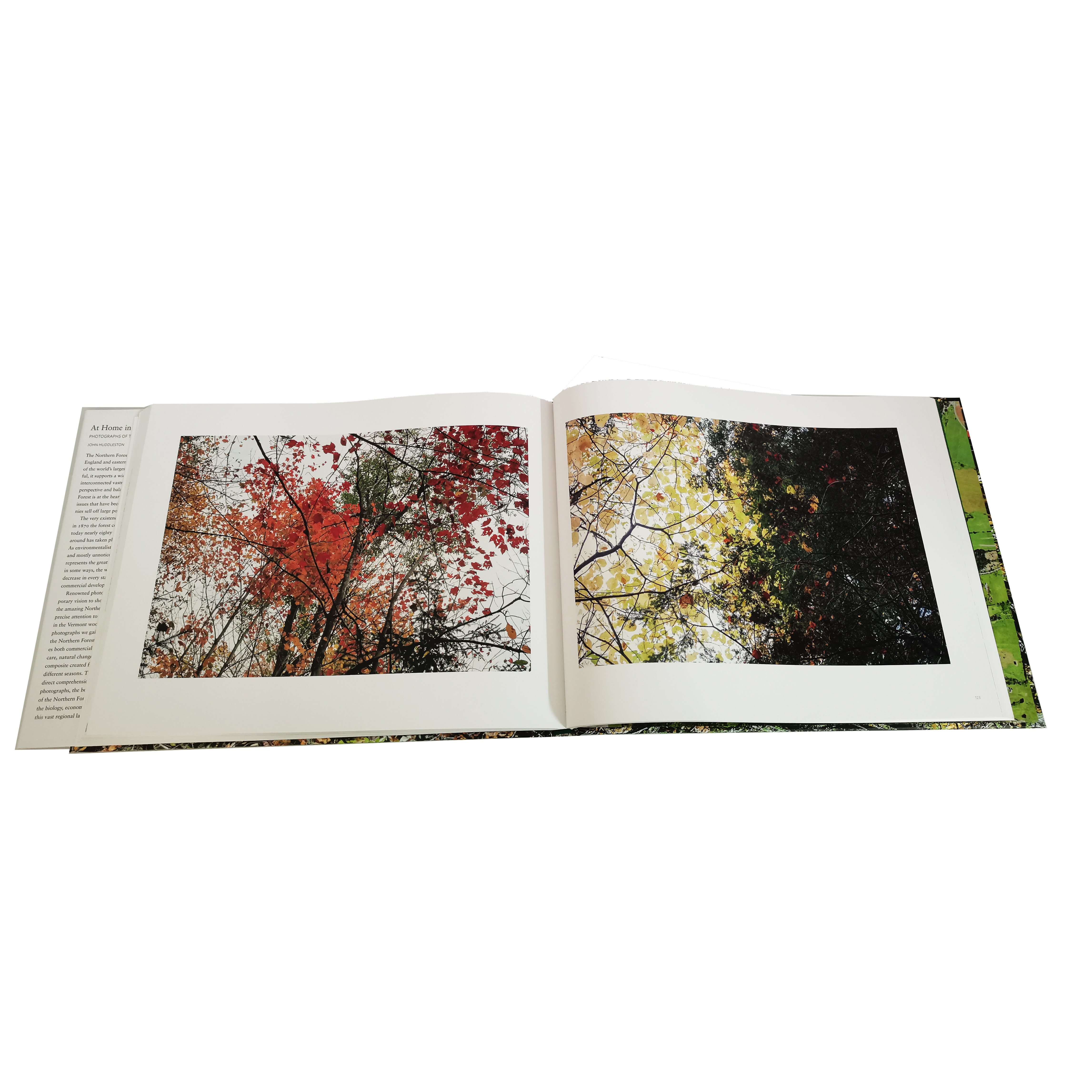 guangdong best price photo coffee table hardcover landscape big color picture book printing