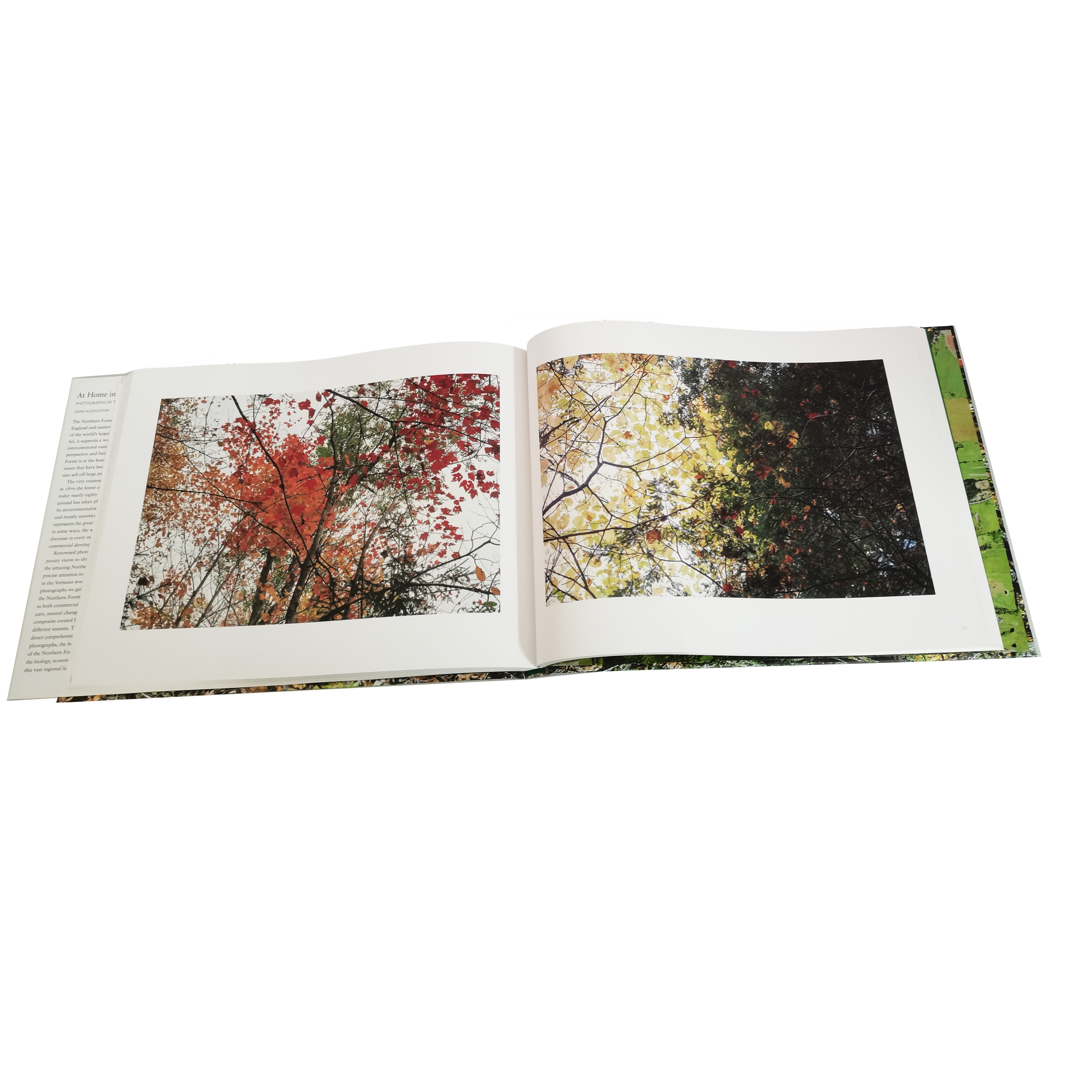 guangdong best price photo coffee table hardcover landscape big color picture book printing