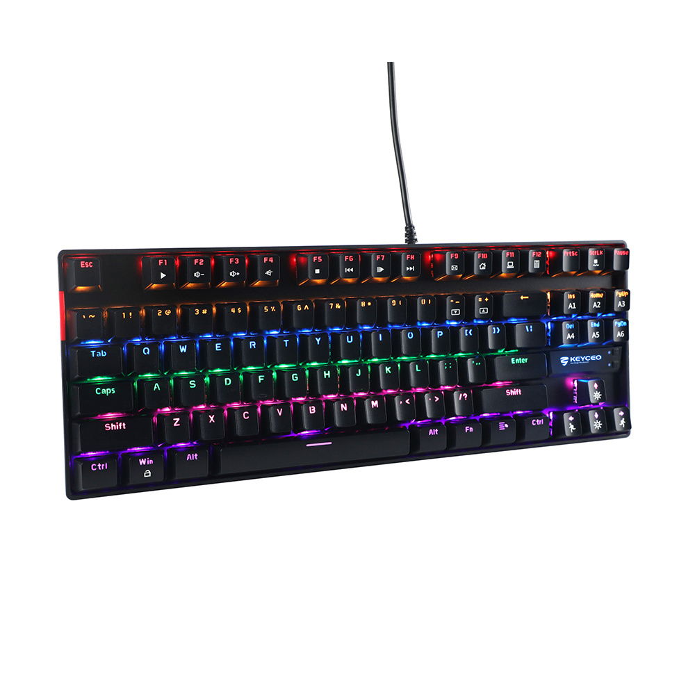 RGB TKL Mechanical Gaming Keyboard, Compact wired 87 Keys Keyboard mini with Linear Red Switches for Wind Laptop PC Gamer