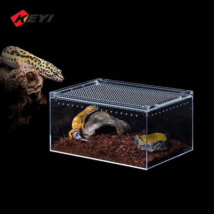 Customized Transparent Assembly Acrylic Crawler Reptile display Cases Repitle Cage Box Cave