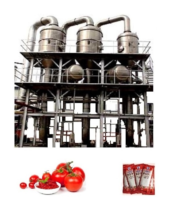 Turnkey Project Tomato Paste Puree Ketchup Machine Full Production Line Making Machine