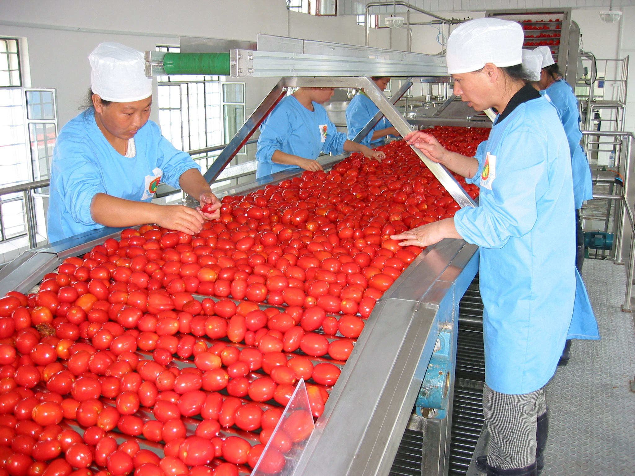 Turnkey Project Tomato Paste Puree Ketchup Machine Full Production Line Making Machine