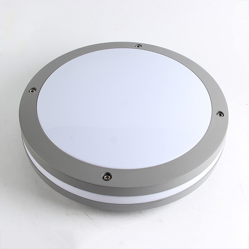 Ip65 wall mounted 24W Led outdoor wall light Led ceiling light