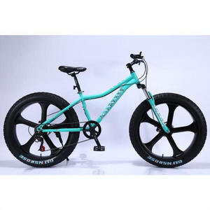 2024 Good supplier 26X4.0 fat tire snow bike/ 26"quality fat bike/ Aluminum Alloy material 4.0 bikes fat tires